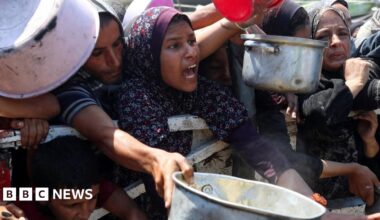 More than 100 agencies say mass starvation spreading across Gaza, accusing Israel of aid 'siege'