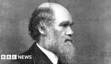 Timepiece linked to Charles Darwin voyage cannot leave UK