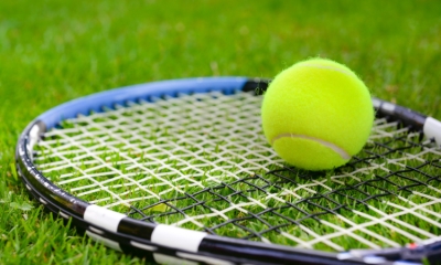 Wimbledon Heat: Čilić, Vekić, and Dodig Keep Croatia’s Hopes Alive