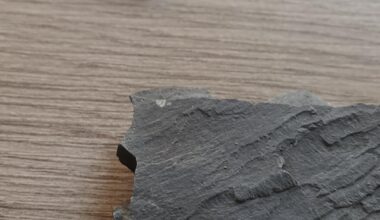 Went hunting for fossils at the Jurassic coast in Yorkshire