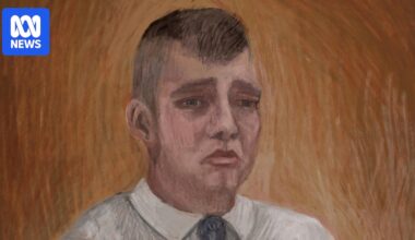 Lachlan Young pleads guilty to murder of Clunes woman Hannah McGuire