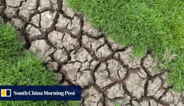 A third of global chip supply threatened by climate change and drought by 2035: PwC