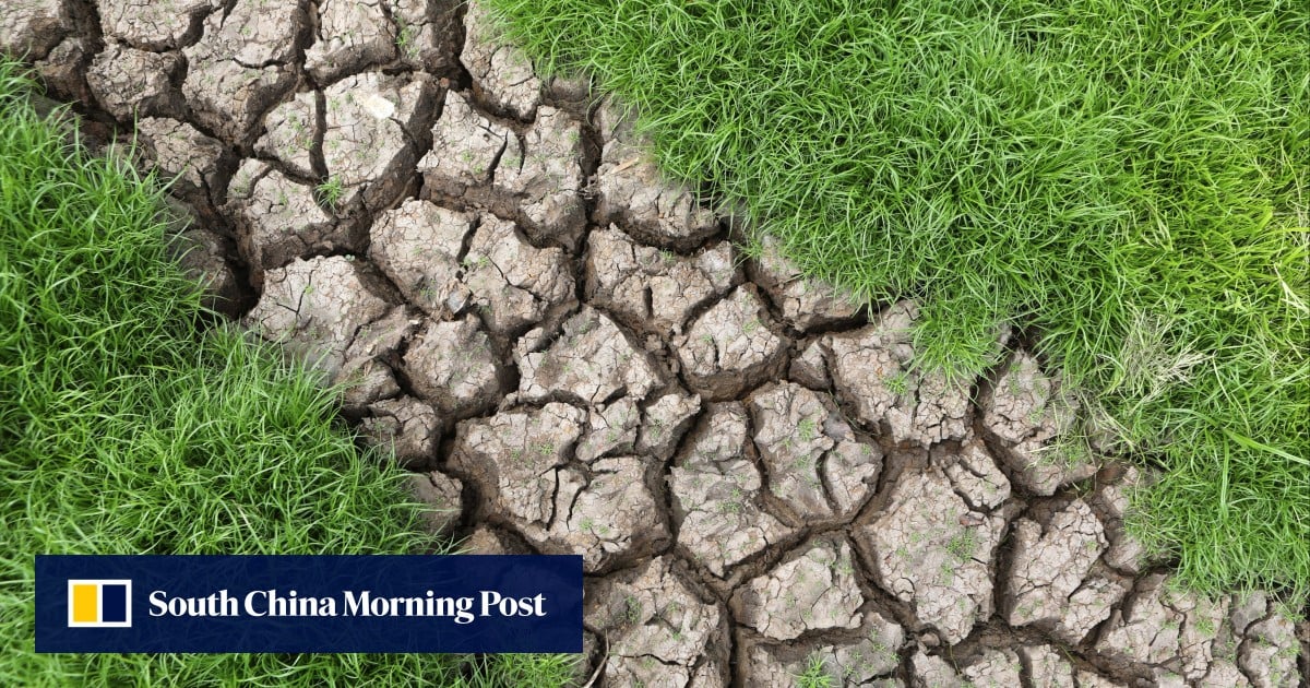 A third of global chip supply threatened by climate change and drought by 2035: PwC