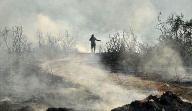 Burned houses are seen in Souni village, Cyprus, on 24 July, 2025.
