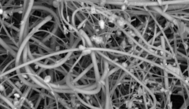 Study Reveals humans can inhale more than 70,000 microplastic particles each day in an indoor environment