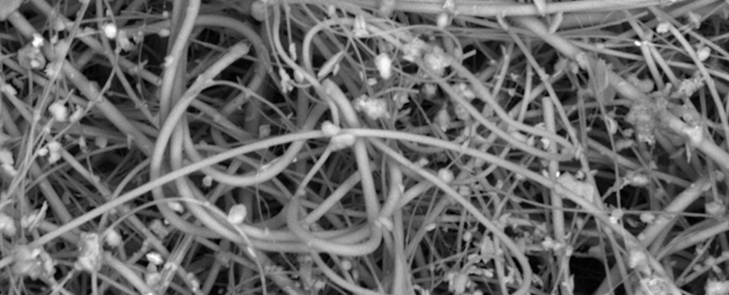 Study Reveals humans can inhale more than 70,000 microplastic particles each day in an indoor environment
