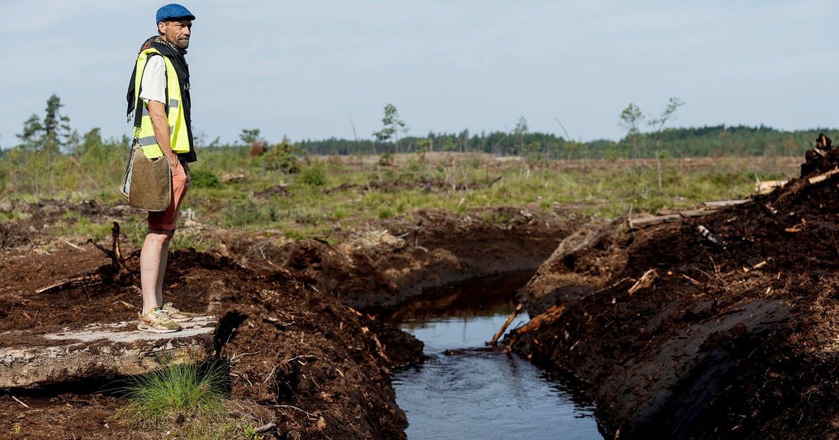 Stora klimatdramat spelas upp i lilla Grimsås