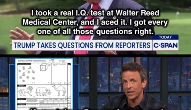 He has the I.Q. of a potato