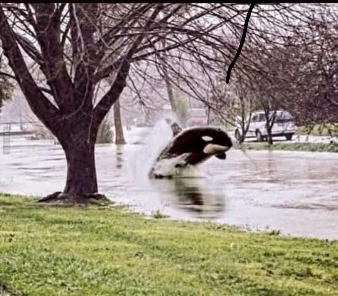 💦💦🏄‍♂️🛶