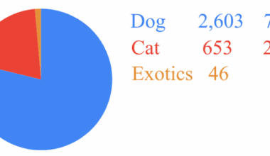 My Statistics As a Veterinarian - Years 1 & 2 [OC]