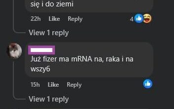 Polish-core w komentarzach na Facebooku