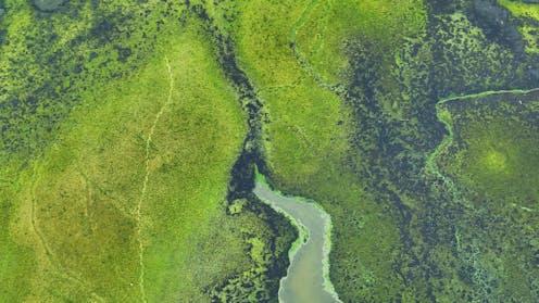 <span class="attribution"><a class="link " href="https://www.shutterstock.com/image-photo/dirty-factory-water-dumped-into-rivers-2454208833" rel="nofollow noopener" target="_blank" data-ylk="slk:Andromeda stock/Shutterstock;elm:context_link;itc:0;sec:content-canvas">Andromeda stock/Shutterstock</a></span>