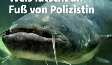 Vorsicht!