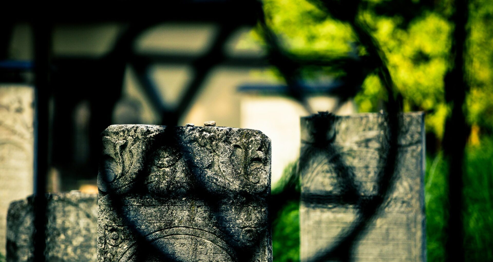Poland launches global network to “keep the memory of Polish Jews alive”