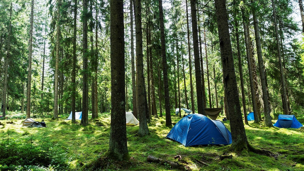 Återställ våtmarkers aktivister tältar i skogen.