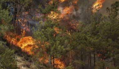 Syria battles forest fires for 3rd day, Turkey sends assistance