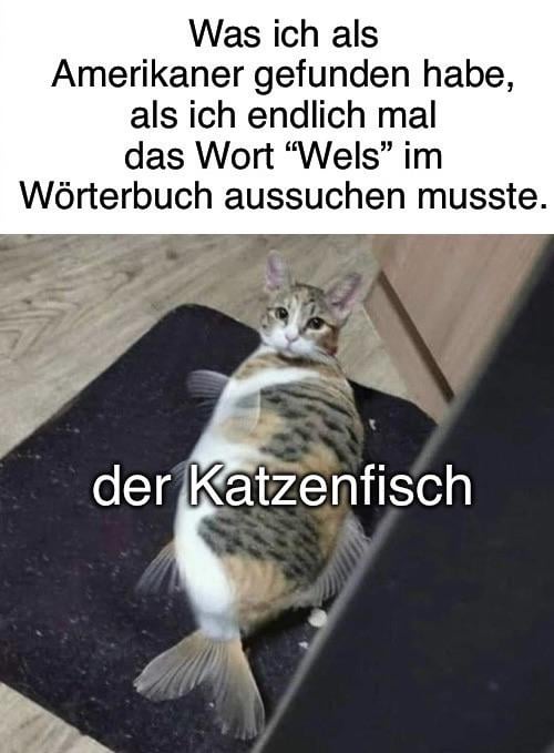 ich🐱iel