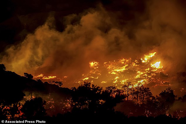 Fire burns in the Ahlia area near the port town of Ierapetra on the south coast of Crete island, Greece, late Wednesday, July 2, 2025