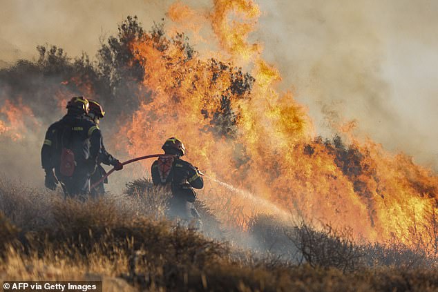 A forest fire fanned by gale-force winds in the Greek holiday island of Crete led to the evacuation of locals and tourists, officials said on July 3, 2025