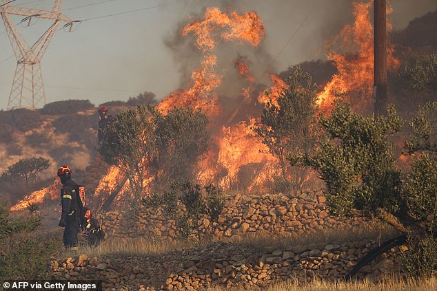 Firemen battle with a wildfire that broke out in Ierapetra at the southern Greek island of Crete, on July 3, 2025