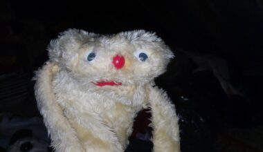 Just found my fake Gordon the Gopher puppet in the attic. Mablethorpe market, 1987