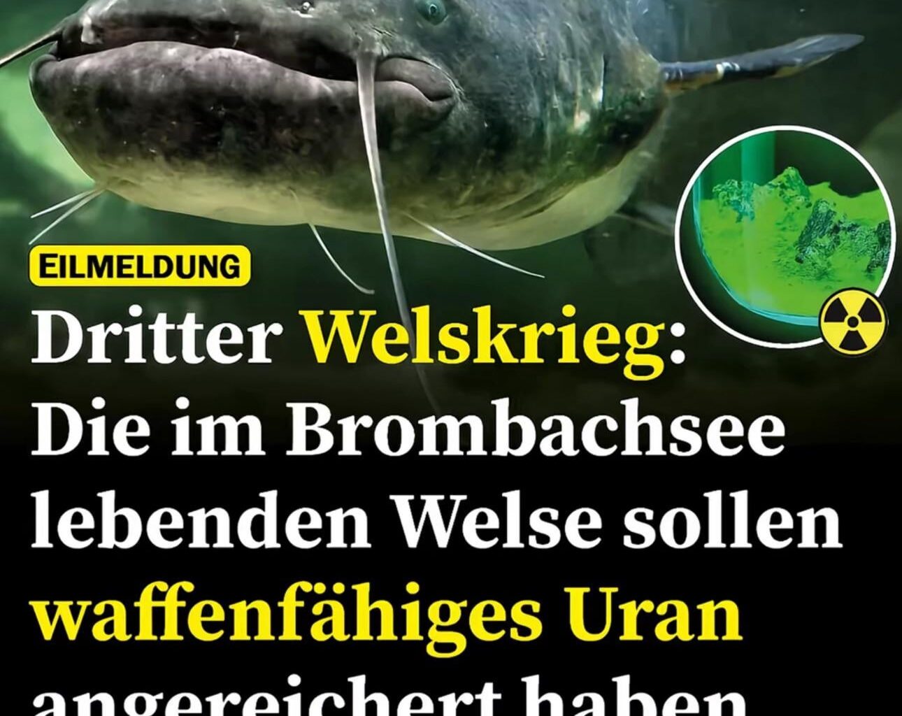 Ich_iel