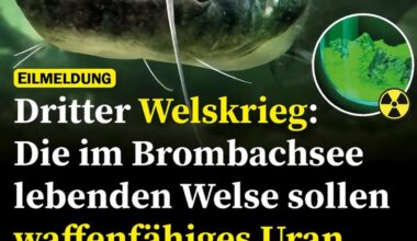 Ich_iel