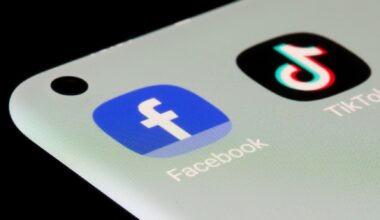 Five EU states to test age verification app to protect children (inklusiv danmark)