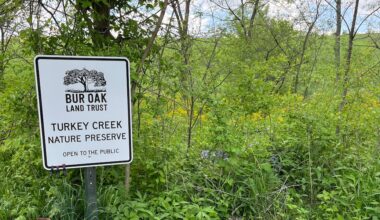 AmeriCorps program reinstated for one Eastern Iowa conservation group, future still uncertain