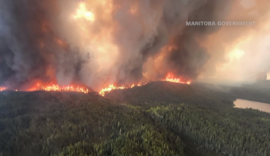 Rep. Finstad, Congress Republicans call on Canada to address wildfires