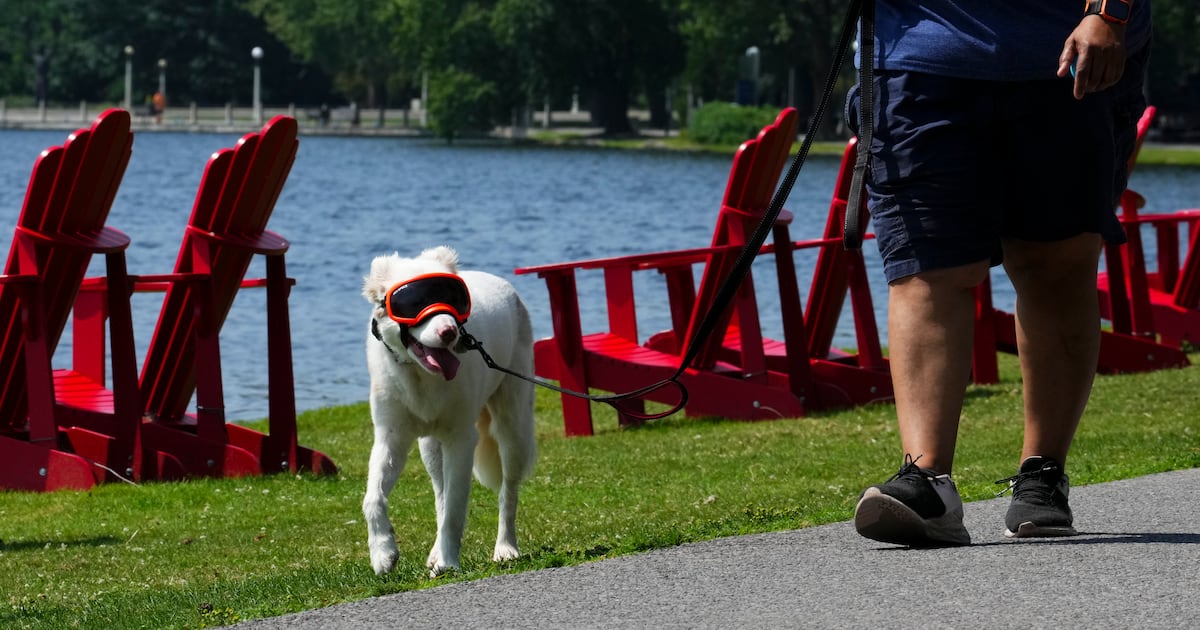 Heat warnings in place for 5 provinces, 1 territory - CTV News
