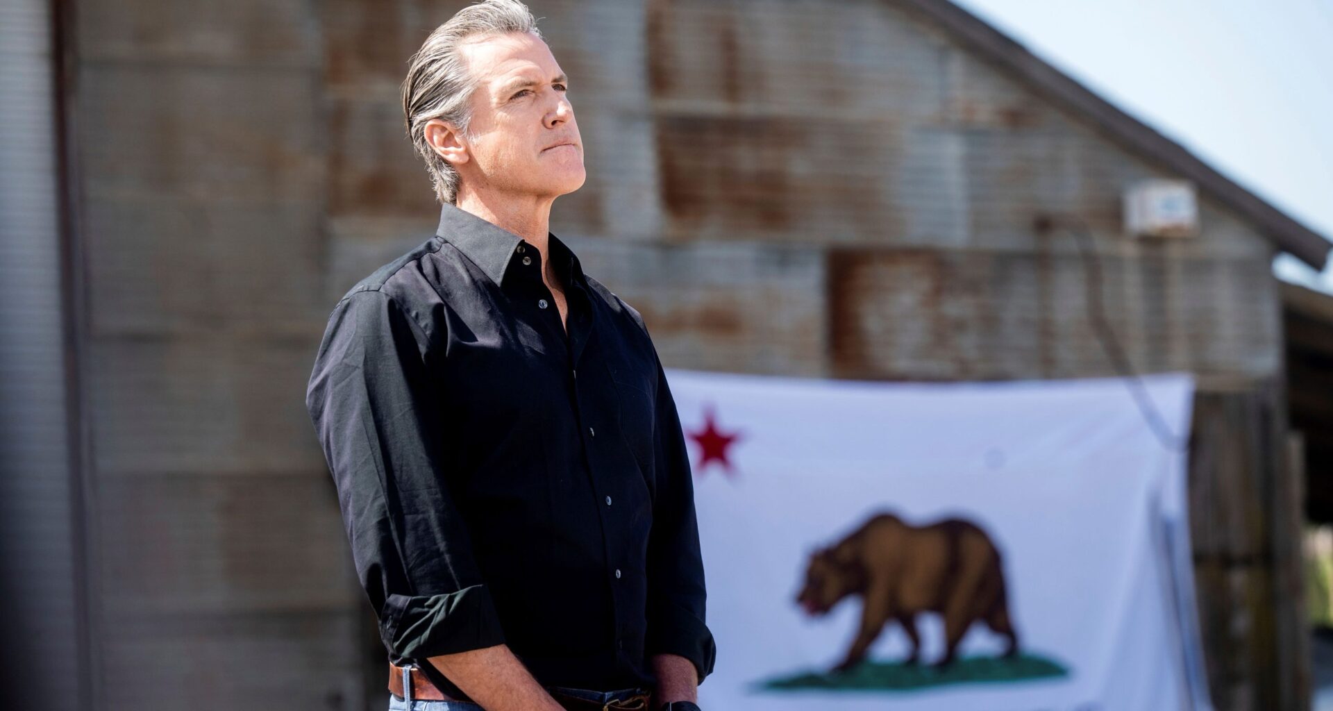 Swing state Democratic strategists aren’t sold on Gavin Newsom