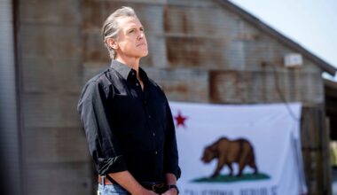 Swing state Democratic strategists aren’t sold on Gavin Newsom