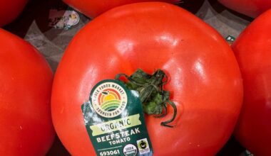 Trump slaps 17 percent tariff on tomatoes from Mexico | Trade War