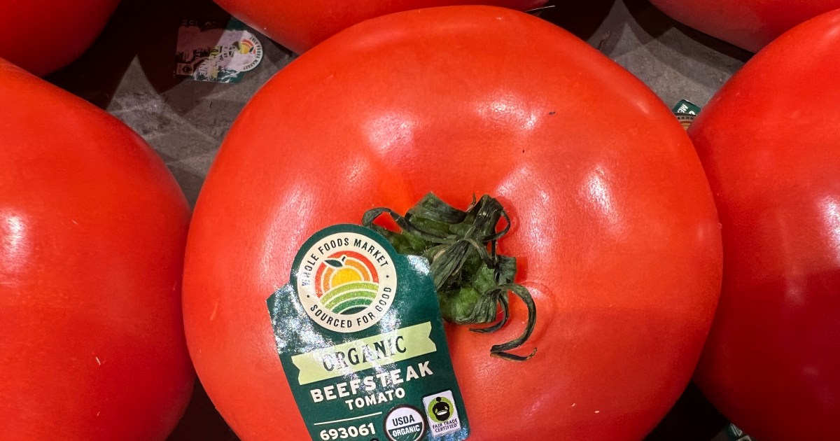 Trump slaps 17 percent tariff on tomatoes from Mexico | Trade War