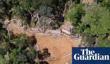 Brazil passes ‘devastation bill’ that drastically weakens environmental law. President has 15 days to approve or veto legislation that critics say will lead to vast deforestation and destruction of Indigenous communities.