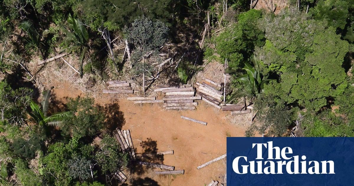 Brazil passes ‘devastation bill’ that drastically weakens environmental law. President has 15 days to approve or veto legislation that critics say will lead to vast deforestation and destruction of Indigenous communities.