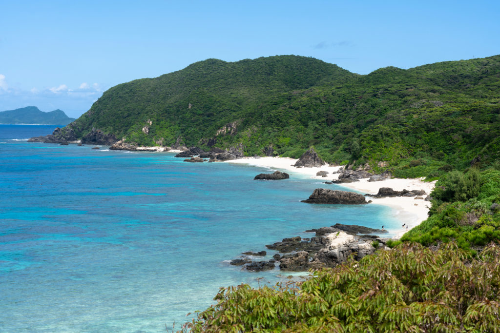 Aerial view of Japan’s Pacific coast