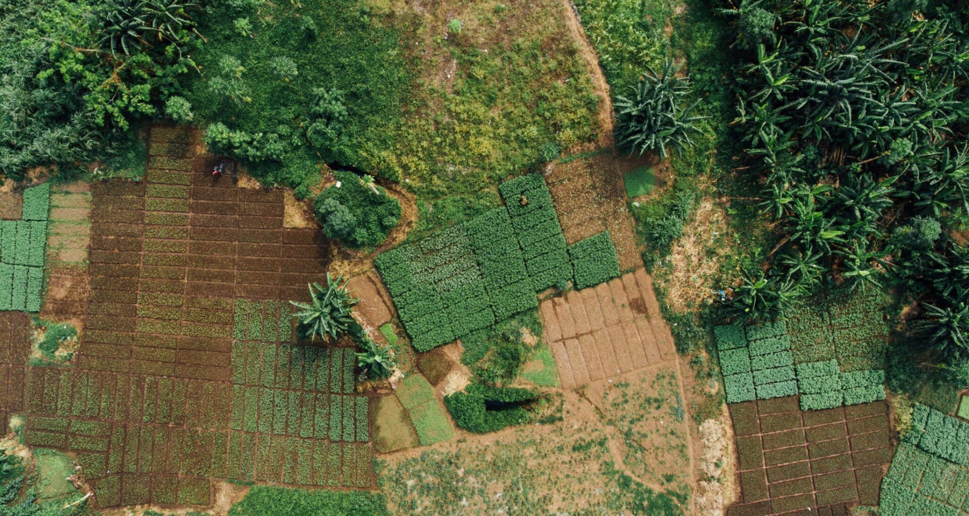 UK Partnership to Boost Climate Smart Agriculture in Africa