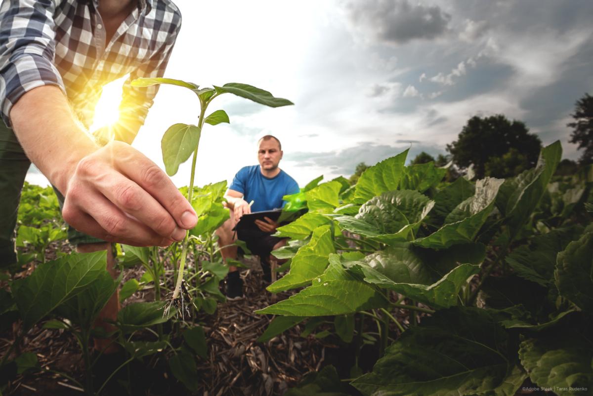 Future of agriculture - European Commission