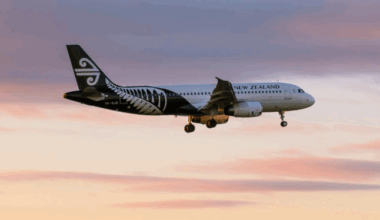 Air New Zealand Appoints Nikhil Ravishankar as CEO, Effective October 2025
