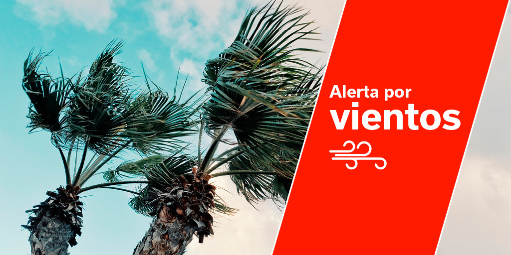 Portal de Noticias del Gobierno de Canarias