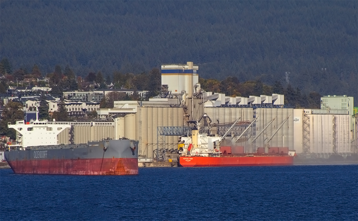 CAPE responds to first LNG shipment from Canada as health impacts loom