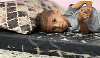 LIVE BLOG: Israel Slaughters Scores of Aid Seekers as Witkoff Plans Tel Aviv Visit - Day 663