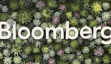 Bloomberg News seeks a data viz reporter in DC