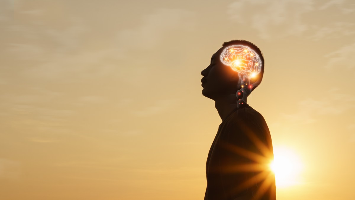 Vatican urges ethical governance at AI Summit