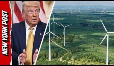 Trump: ’We will not allow a windmill to be built in the United States. They're killing us.’ US President further embarrasses the country in front of European leaders with idiotic rant against "windmills".
