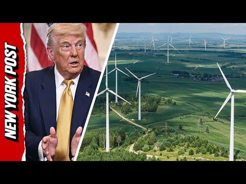 Trump: ’We will not allow a windmill to be built in the United States. They're killing us.’ US President further embarrasses the country in front of European leaders with idiotic rant against "windmills".