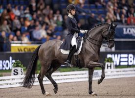 Germany's Carina Scholz on Soiree D' Amour OLD Wins World Cup Freestyle at Dunajsky Klatov in Slovakia