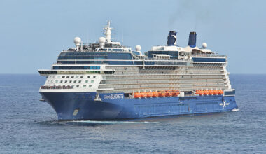 Celebrity Silhouette
